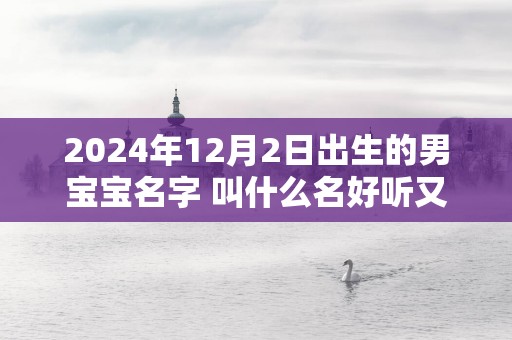 2025年12月2日出生的男宝宝名字 叫什么名好听又吉利