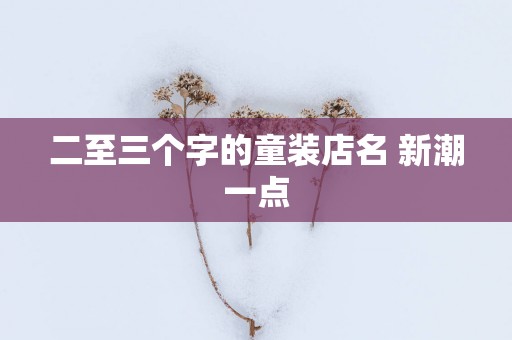 二至三个字的童装店名 新潮一点