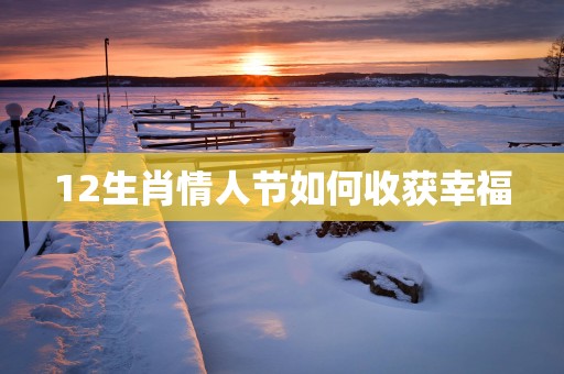 12生肖情人节如何收获幸福