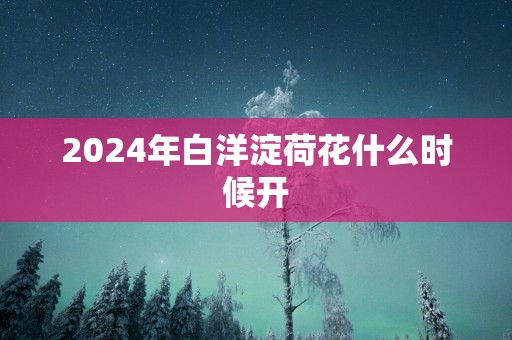 2025年白洋淀荷花什么时候开
