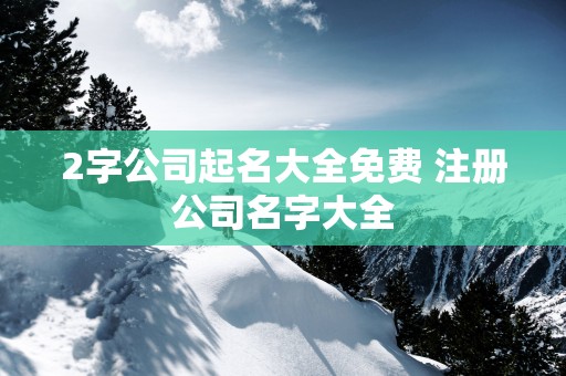 2字公司起名大全免费 注册公司名字大全