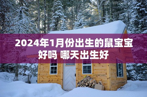 2025年1月份出生的鼠宝宝好吗 哪天出生好