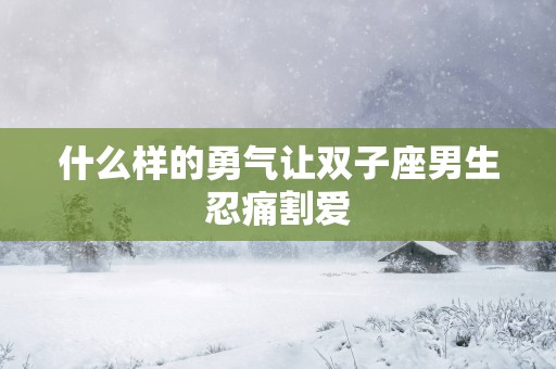什么样的勇气让双子座男生忍痛割爱