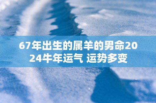 67年出生的属羊的男命2025蛇年运气 运势多变