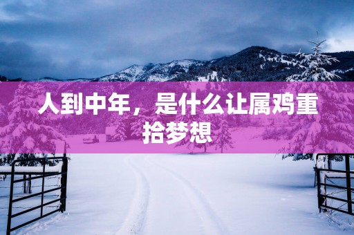 人到中年，是什么让属鸡重拾梦想