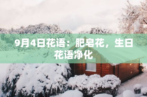 9月4日花语：肥皂花，生日花语净化