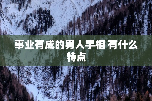 事业有成的男人手相 有什么特点