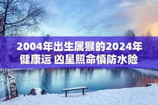 2004年出生属猴的2024年健康运 凶星照命慎防水险