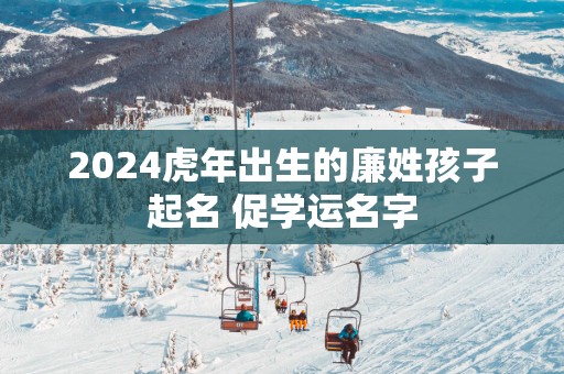 2025蛇年出生的廉姓孩子起名 促学运名字