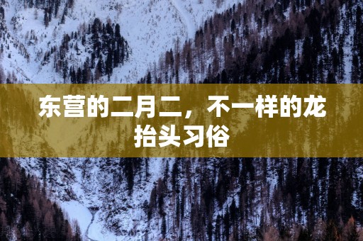 东营的二月二，不一样的龙抬头习俗