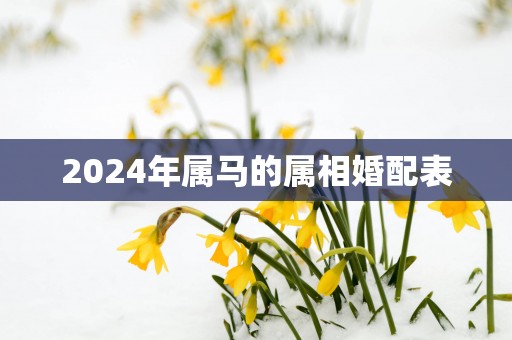 2025年属马的属相婚配表