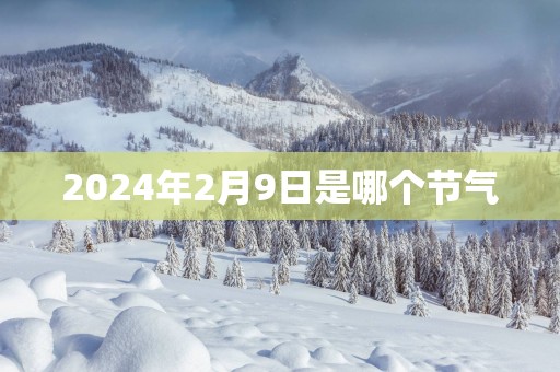 2025年2月9日是哪个节气