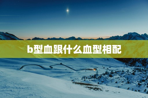 b型血跟什么血型相配