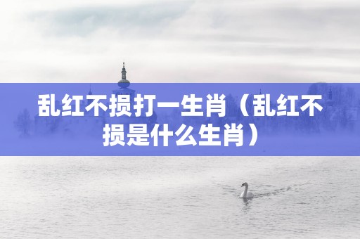 乱红不损打一生肖（乱红不损是什么生肖）