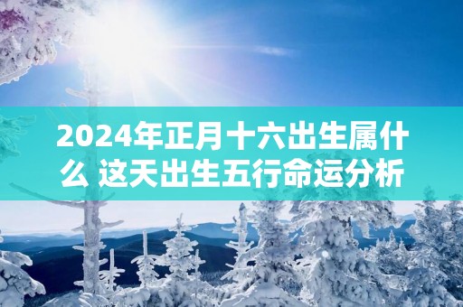 2025年正月十六出生属什么 这天出生五行命运分析