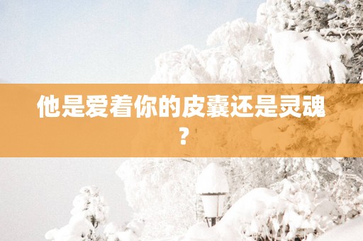 他是爱着你的皮囊还是灵魂？