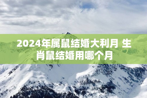 2025年属鼠结婚大利月 生肖鼠结婚用哪个月