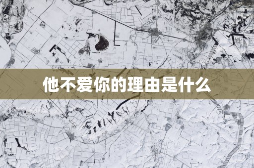 他不爱你的理由是什么