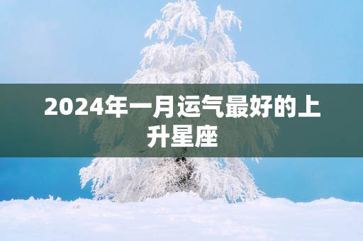 2024年一月运气最好的上升星座