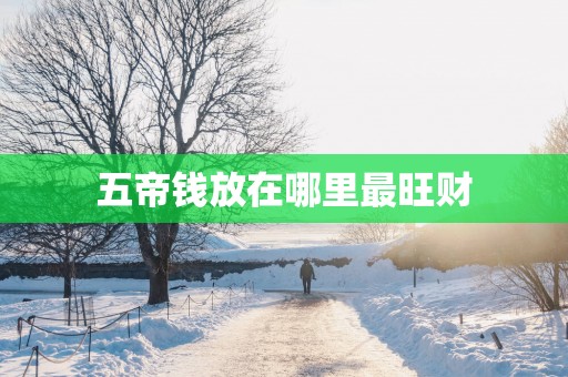 五帝钱放在哪里最旺财