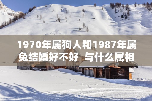 1970年属狗人和1987年属兔结婚好不好  与什么属相婚配最好