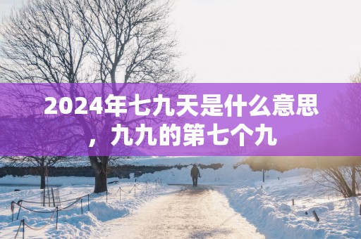2025年七九天是什么意思，九九的第七个九