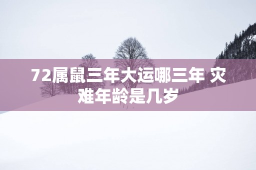 72属鼠三年大运哪三年 灾难年龄是几岁