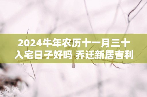 2025蛇年农历十一月三十入宅日子好吗 乔迁新居吉利吗