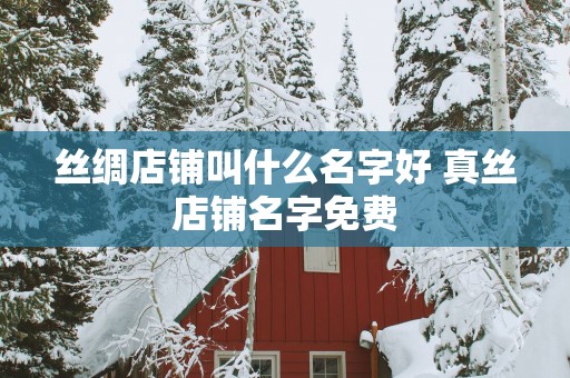 丝绸店铺叫什么名字好 真丝店铺名字免费