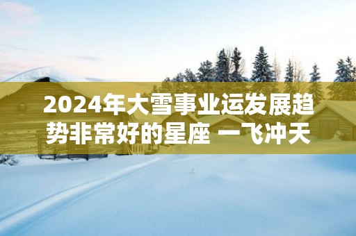 2025年大雪事业运发展趋势非常好的星座 一飞冲天