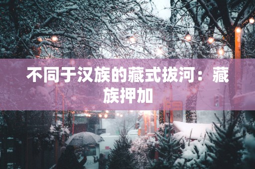 不同于汉族的藏式拔河：藏族押加