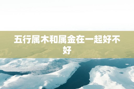 五行属木和属金在一起好不好