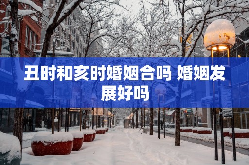 丑时和亥时婚姻合吗 婚姻发展好吗