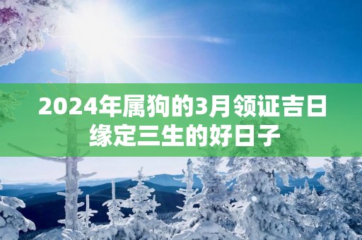 2024年属狗的3月领证吉日 缘定三生的好日子