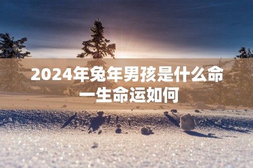 2025年蛇年男孩是什么命 一生命运如何