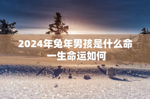 2024年兔年男孩是什么命 一生命运如何