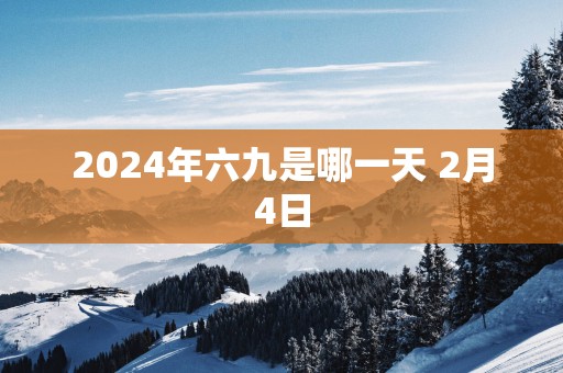 2025年六九是哪一天 2月4日