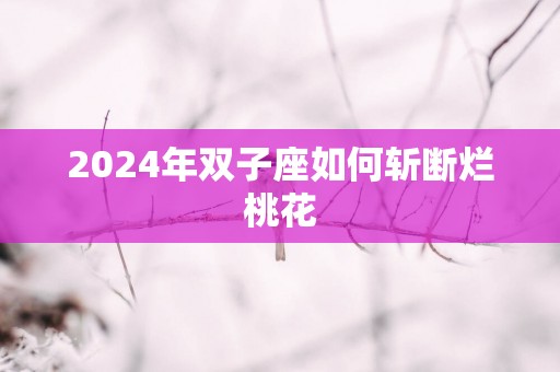 2025年双子座如何斩断烂桃花