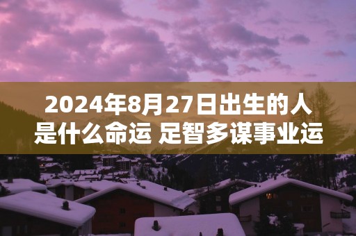 2025年8月27日出生的人是什么命运 足智多谋事业运旺
