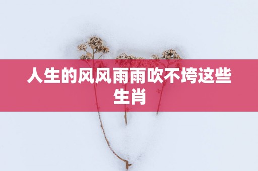 人生的风风雨雨吹不垮这些生肖