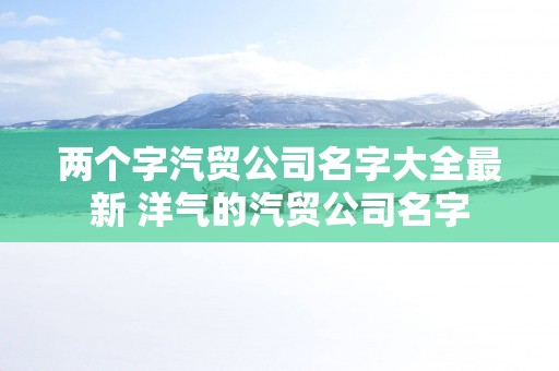 两个字汽贸公司名字大全最新 洋气的汽贸公司名字