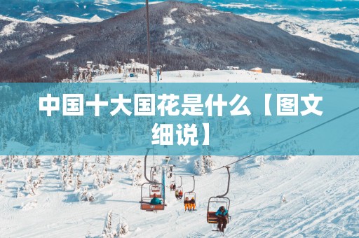 中国十大国花是什么【图文细说】