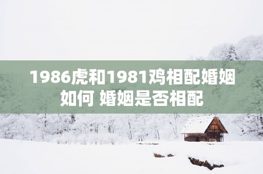1986虎和1981鸡相配婚姻如何 婚姻是否相配