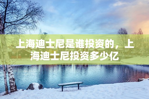 上海迪士尼是谁投资的，上海迪士尼投资多少亿