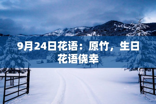 9月24日花语：原竹，生日花语侥幸