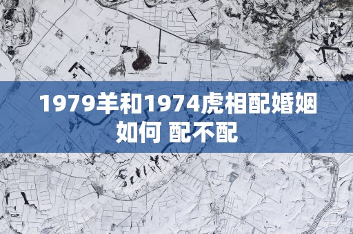 1979羊和1974虎相配婚姻如何 配不配