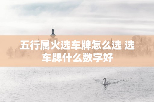 五行属火选车牌怎么选 选车牌什么数字好
