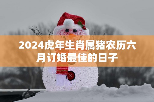 2025蛇年生肖属猪农历六月订婚最佳的日子