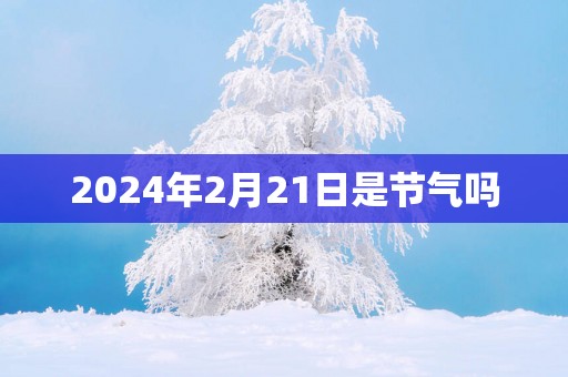 2025年2月21日是节气吗