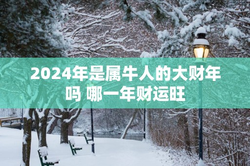2025年是属牛人的大财年吗 哪一年财运旺
